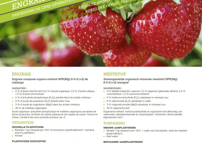 Engrais Sap Fraisier 20 Kg